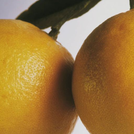 Парфюмированный лосьон для тела и рук Cereria Molla Basil & Mandarin унисекс, 500 мл