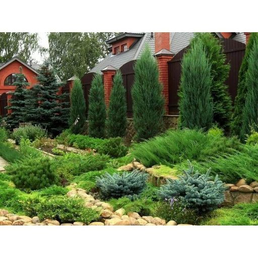 Добриво-підкислювач Майстер Florcolor 25 г (1750598)