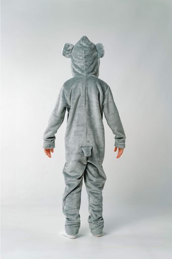 Детский теплый комбинезон Dexter`s koala  134 см (1751857)