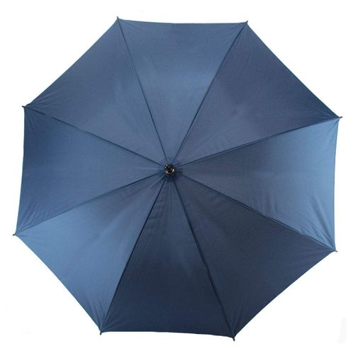 Зонтик Semi Line Blue (L2037-1) (1773111)
