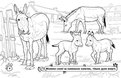 Розмальовка з тваринами. Тварини на фермі (1774583)