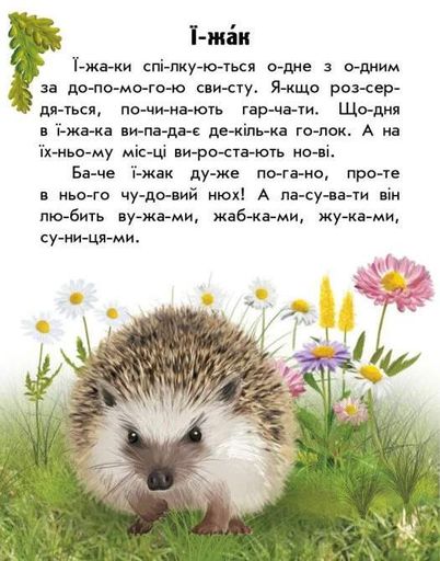 Читаю про Україну. Тварини лісів (1774704)