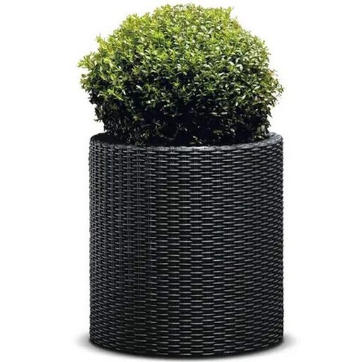 Горщик для квітів Keter Medium Cylinder Planter антрацит 229123 (1776125)