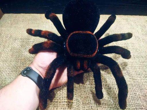 Паук Тарантул на радиоуправлении со светящимися глазами 30 см Cute Sunlight 871 Tarantula (1777819)