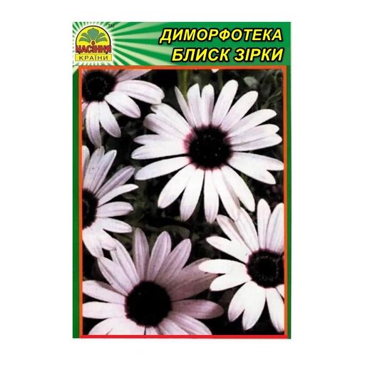 Насіння Диморфотека Блиск зірки 0,2 г (Насіння країни) (1800548)