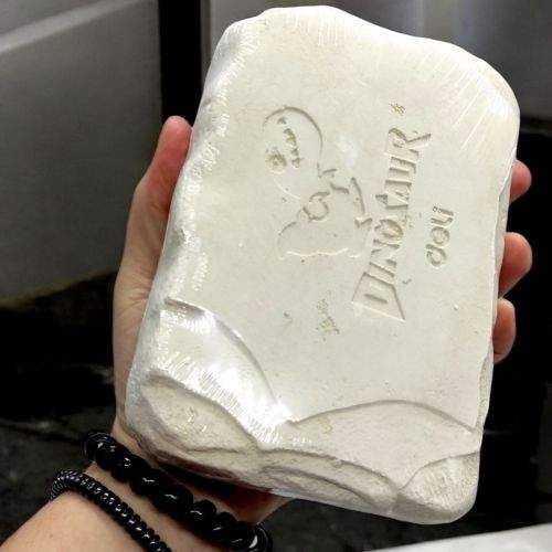 Deli Наб iр для розкопок Fossil Detective: Динозавр Тиранозавр (258152) (1840363)