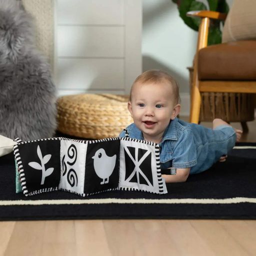 Двостороння м'яка книжка Baby Einstein Counting at the Farm 17303 (1896010)