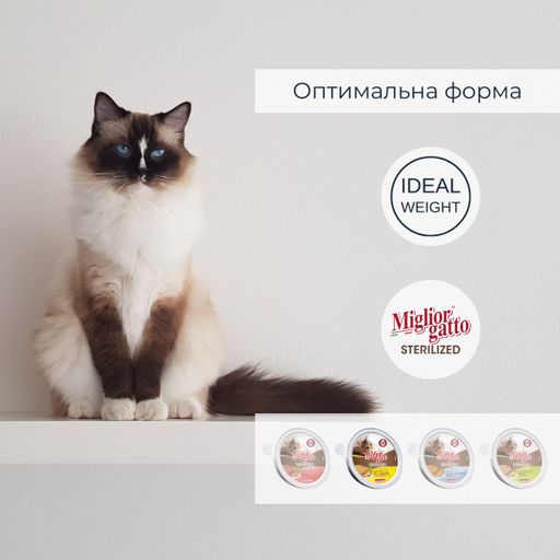 Беззерновий вологий корм для стерилізованих котів Morando Migliorgatto Sterilized Мус з куркою та прошуто, 85 г