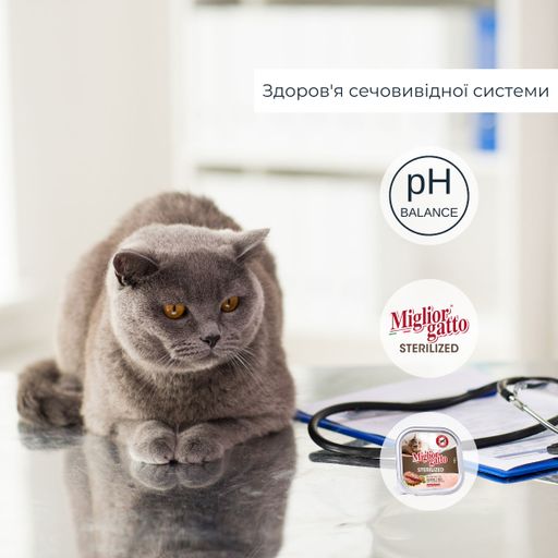 Беззерновий вологий корм для стерилізованих котів Morando Migliorgatto Sterilized з лососем та рисом, 100 г