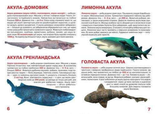 Книга "Большая книга. Акулы" (укр) Бумага Разноцвет (139497) (1908300)