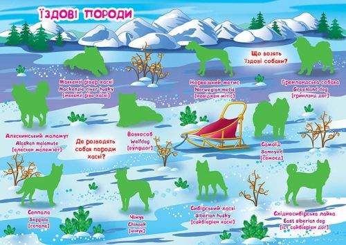 Большая книга "Развивающие наклейки. Умные задания. Собаки" (укр) Бумага Разноцвет (139542) (1908615)