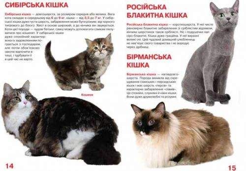 Книга "Большая книга. Кошки" (укр) Бумага Разноцвет (139517) (1915744)