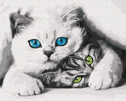 Картини за номерами "Муркотики" розмальовки за цифрами.40*50 см.Україна (1925449)