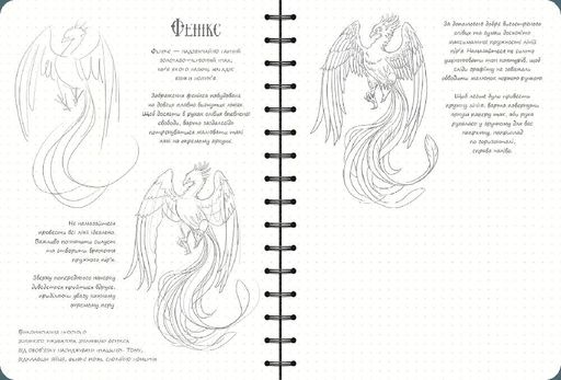 SketchBook Скетчбук "Малюємо фантастичних істот" (Українська) (1961663)