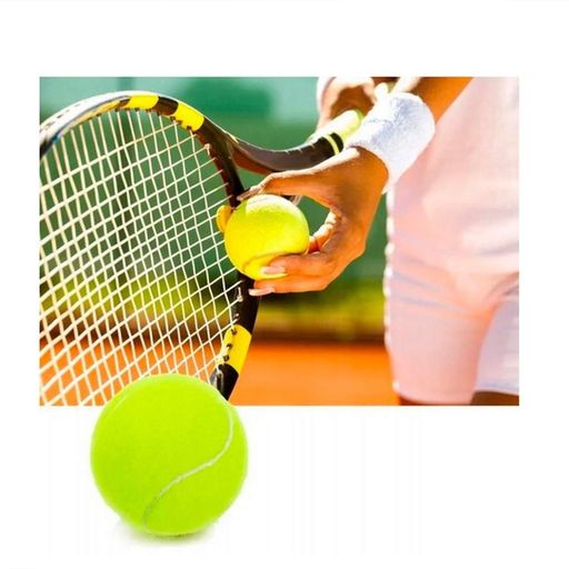 Набор мячей для большого тенниса SWDN Tennis Ball NE-TT-3, 3 штуки (1983853)
