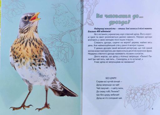 Вусохвості й лапокрилі. Читанка про звірят (Найкращий подарунок) (1996853)