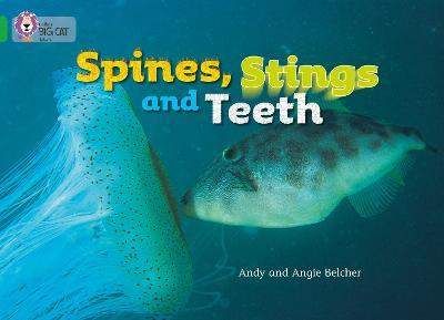 Big Cat  5 Spines, Stings and Teeth. (2000297)