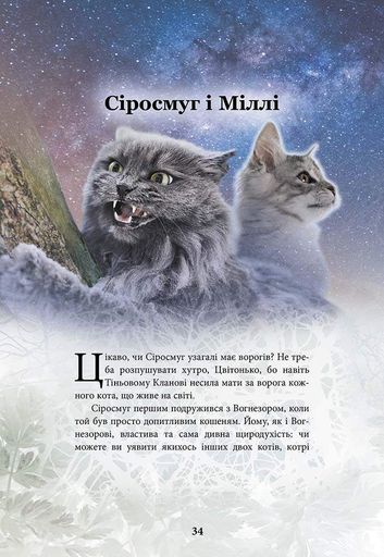 Коти - вояки. Герої Кланів. Хроніки Зореклану (2003038)