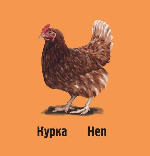 Слідами тварин. На фермі (2003749)