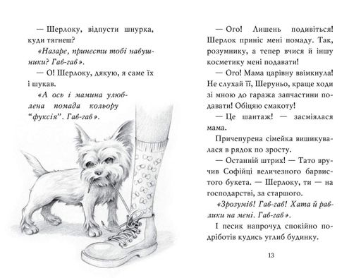 Знайомтеся. Шерлок! Як воно-бути знаменитим? : казкова повість кн3 (2005170)
