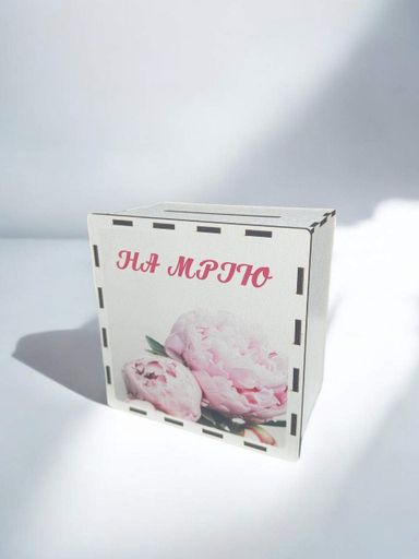 Скарбничка для грошей дитяча 200 днів "На мрію" (№31) (2006318)