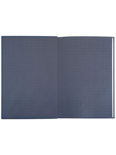Дневник школьный KITE твердый обложка серый (K26-262-12) (2006417)