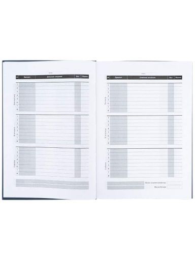 Дневник школьный KITE твердый обложка серый (K26-262-12) (2006417)
