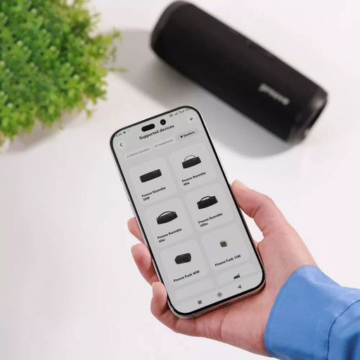Портативная акустика Proove Rumble 20W черная (68073)