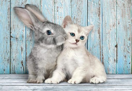 Пазл Clementoni: High Quality Collection — Cat and Bunny / Кот и зайчик (500 элементов) — 35539 (2010308)