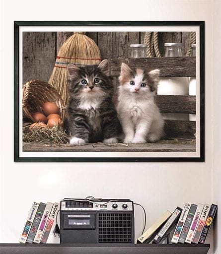 Пазл Clementoni: High Quality Collection — Wonderful Kittens / Чудесные котята (1000 элементов) — 39943 (2010553)