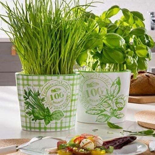 Кашпо Scheurich Herbs Delicious 14 см 60456 (2012482)