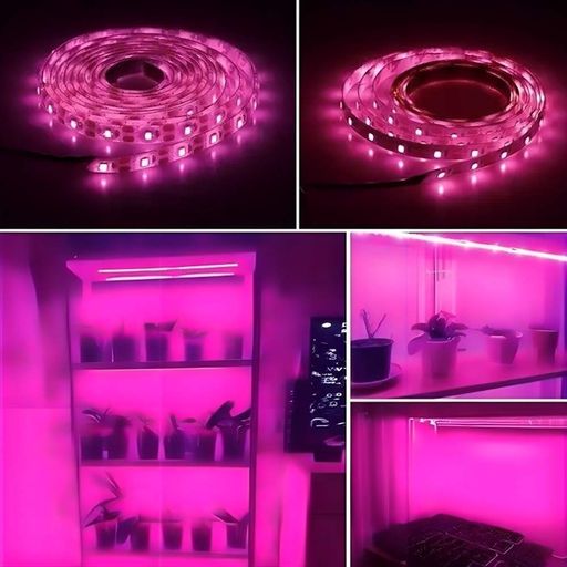 Светодиодная фитолента на USB, 5 м, Фиолетовый / LED лента для растений / Фитолента для рассады (2012799)