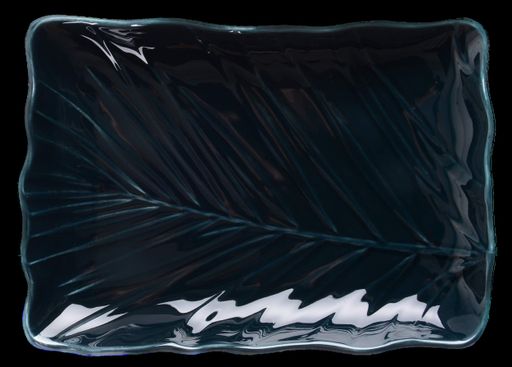 Блюдо Leaf Black LIMITED EDITION CL0175245 (2014198)