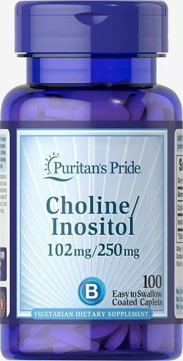 Puritans Pride Choline Bitartrate Inositol 102 mg / 250 mg 100 caplets (2019906)