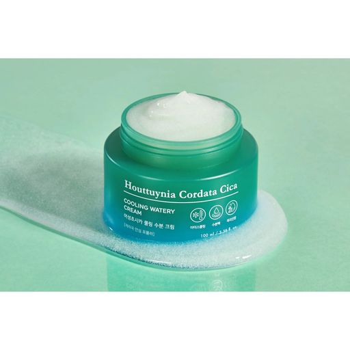 Охолоджувальний крем для обличчя Tony Moly Houttuynia Cordata Cica Cooling Watery Cream з хаутюнією та центелою, 100 мл