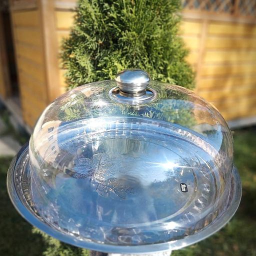 Металлический разнос с пластиковой крышкой-куполом  (W018444) (2025167)
