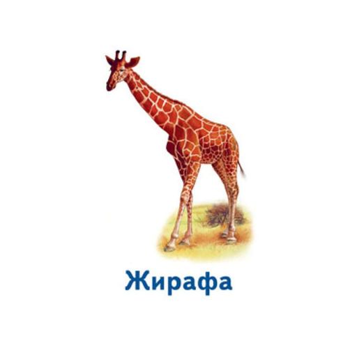Настільна гра Парочки: Світ тварин 1392003 6 ігор (2036717)