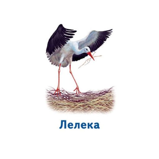 Настільна гра Парочки: Світ тварин 1392003 6 ігор (2036717)