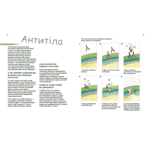 Навчальна книга "Генетика для дітей: Герої та лиходії в нашому тілі" 1354007, 36 сторінок (2038131)