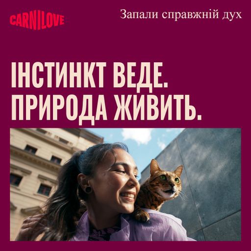 Лакомство для взрослых кошек Carnilove Crunchy Snack Lamb With Blackberries с ягненком и ежевикой, 50 г