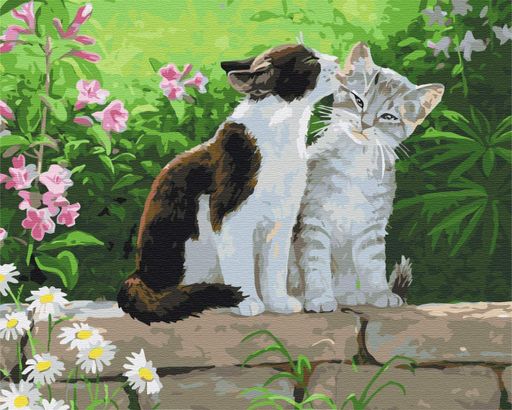 Картина за номерами Пара кошенят Brushme 40x50 см tvo0006463 (2044268)
