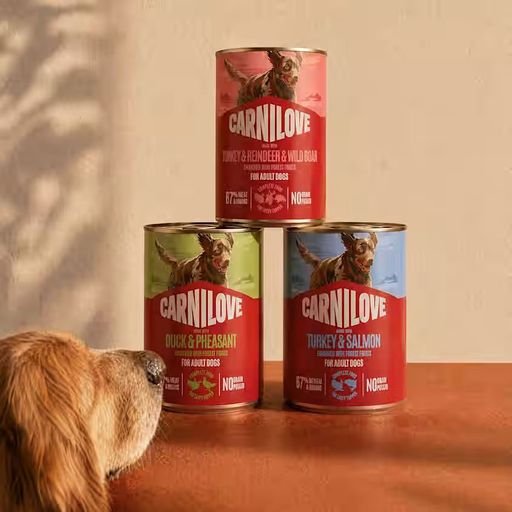 Вологий корм для дорослих собак Carnilove Lamb & Wild Boar Паштет з ягням та диким кабаном, 400 г