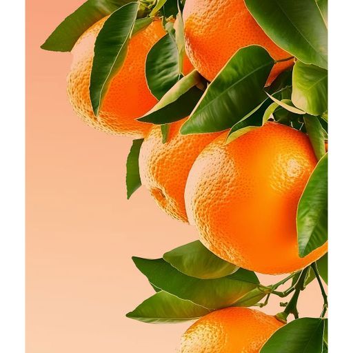 Парфумований лосьйон для тіла Victoria's Secret Clementine Hibiscus Hydrating Body Lotion жіночий, 296 мл