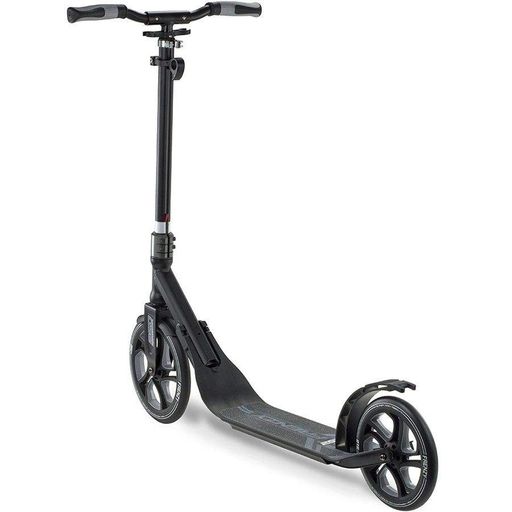 Самокат Frenzy 250 mm Recreational Black (1012-FR250-BK) (2064658)