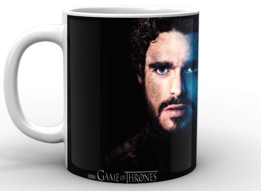 Кружка GeekLand Game of Thrones Игра Престолов Робб Старк GT.02.050 (2065348)
