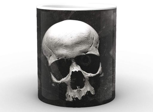 Кухоль Geek Land білий Сини Анархії Sons of Anarchy череп SA.002.10 (2067182)