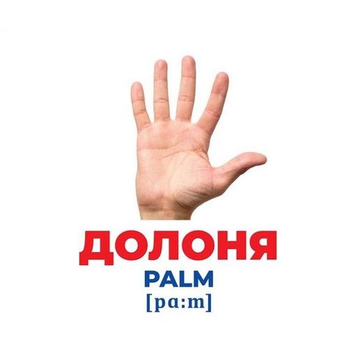 Набір розвиваючих карток Геній з пелюшок "Будова структура" Ранок 10107202, 17 карток Ranok Creative (2080531)