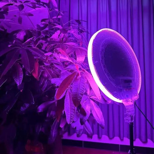 Кругла світлодіодна лампа RGB 33 см + пульт, від мережі, GS-330 (2081539)