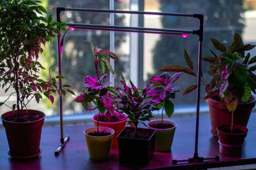 Регульований світлодіодний LED Фіто світильник Metaflex Uno Bicolor для рослин, фіто лампа на підвіконня (2081697)