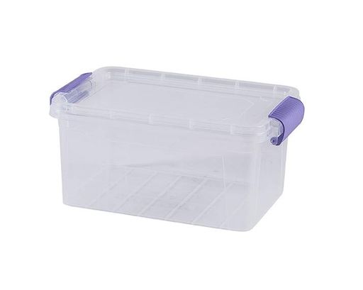 Контейнер Violet House Family Box (6579593) (2094530)